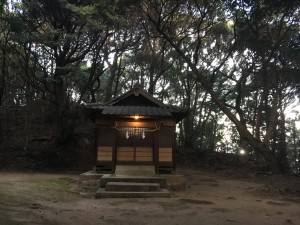 初日は登っても薄暗い神花社