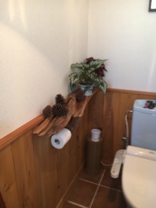 トイレの植物セッティング