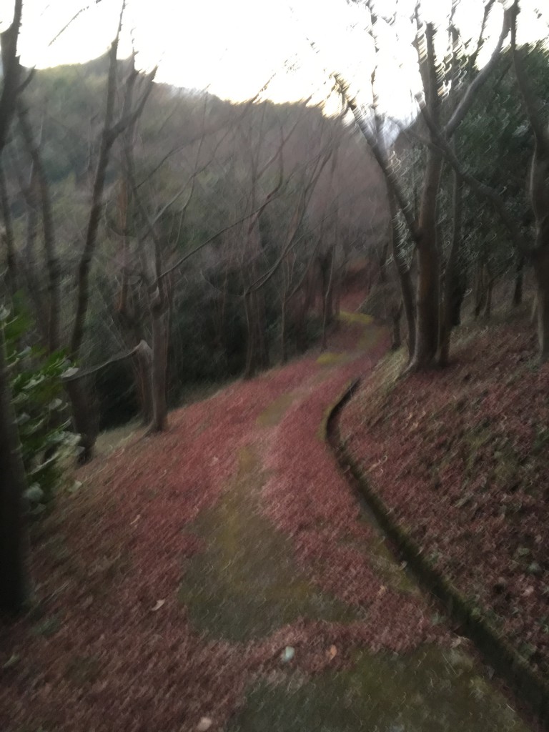 山頂へ続く道　紅葉の落ち葉
