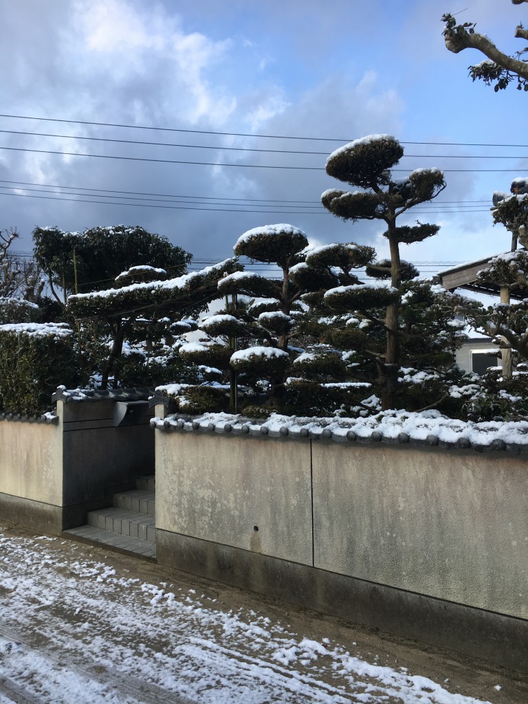 隣の家は兼六園に