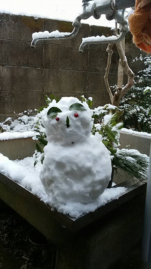 友達から雪だるまが送られてきた。（写メ）
