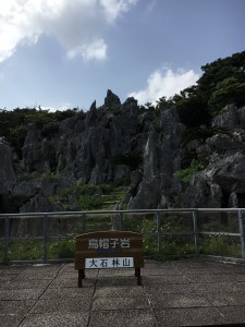 石灰岩が侵食されて大胆な形地になったらしい。 パワースッポット！