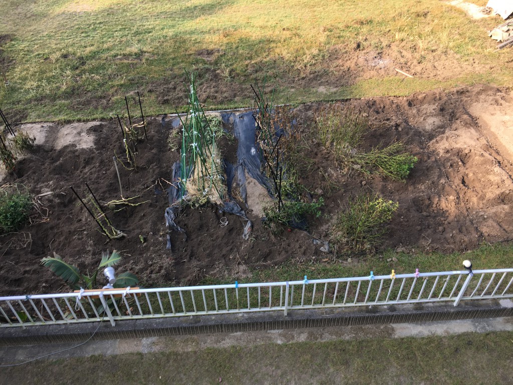 荒れ地状態のＹＹ農園